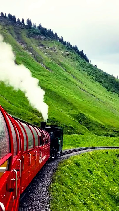 Dil toh pagal hai #bollywood #song #love #hindisong #shortsfeed #bollywoodsongs #trending