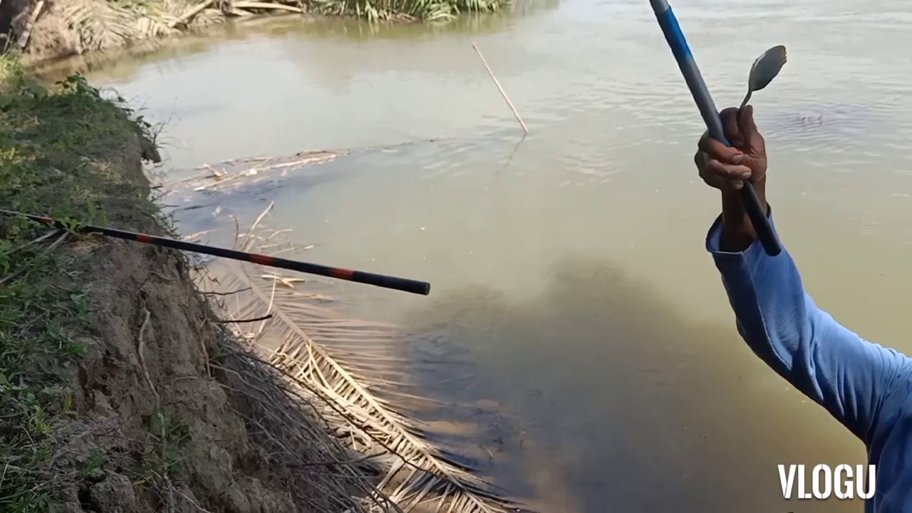 Spot ikan Nilem babon (Lappam)... mantap abis