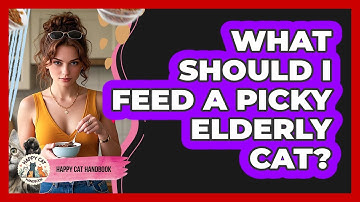 What Should I Feed A Picky Elderly Cat? - Happy Cat Handbook