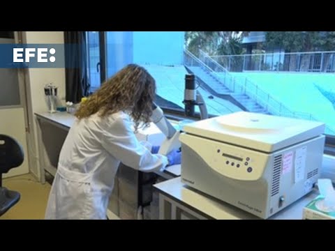 La nanotecnología, clave para tratar el cáncer de vejiga