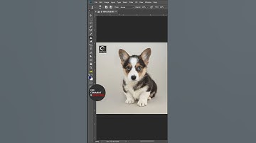 Clone Source - Photoshop Tutorial #shorts #photoshop #adobe #youtubeshorts