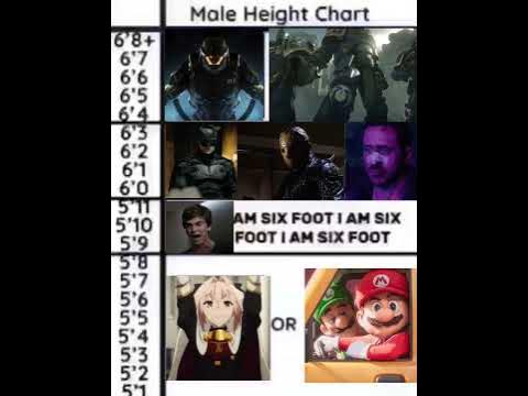 Male height chart meme - YouTube