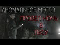 АНОМАЛЬНОЕ МЕСТО ( ПРОВЕЛ НОЧЬ В ЛЕСУ ) | ANOMALY PLACE ( SPENT THE NIGHT IN THE FOREST )