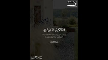 ﴿فَمَا ظَنُّكُمْ بِرَبِّ الْعَالَمِينَ﴾ | القارئ: راشد الحليبة