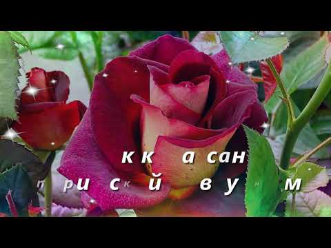 💝НОВИНКА!!! Я ЖЕЛАЮ ДОБРОЕ УТРО ХОРОШЕГО ДНЯ и ОТЛИЧНОГО НАСТРОЕНИЯ