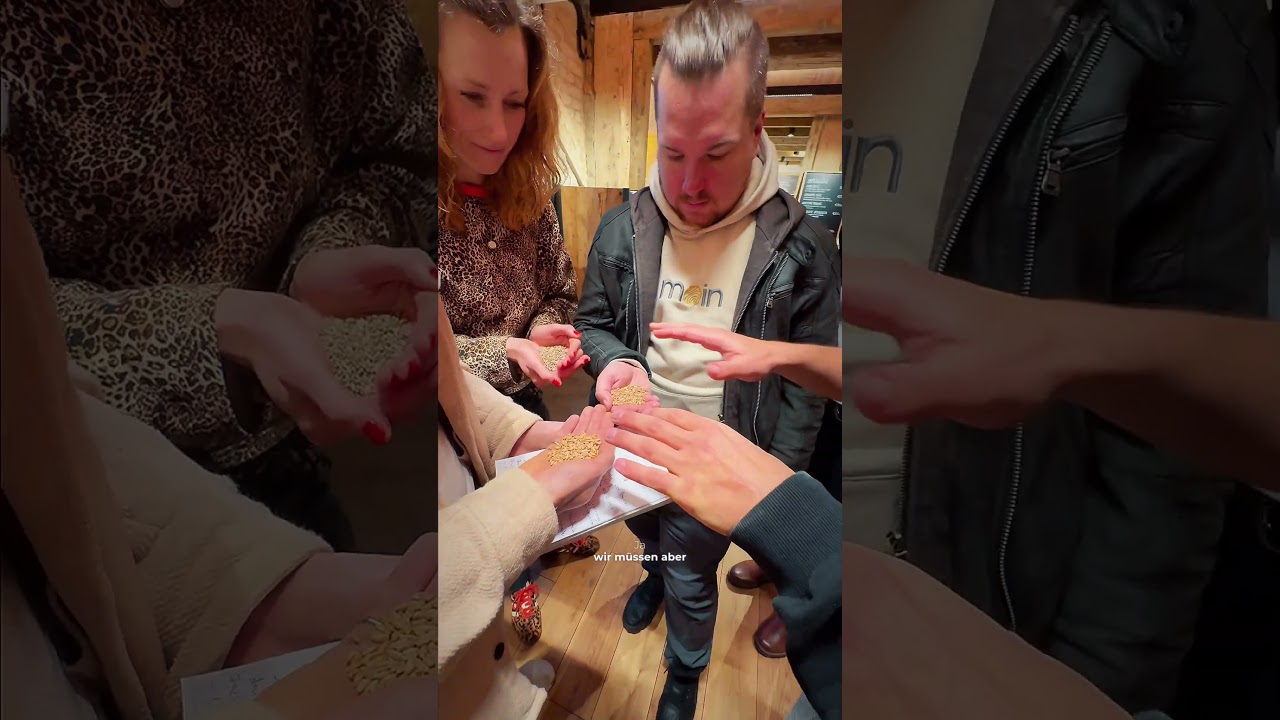 Das Bio Getreide der Mühle 💡