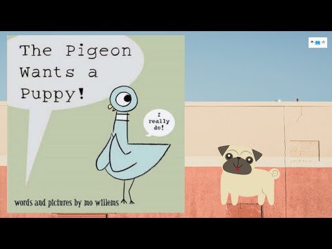the-pigeon-wants-a-puppy-🐶-book-read-aloud-for-kids