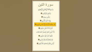 سورة التين