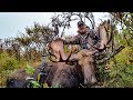 BOWHUNTING MOOSE!  | Alaska Yukon Hunting Adventure