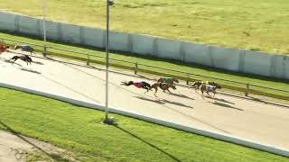 Townsville-10022024-Race-1