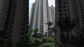 Ciudad Fantasma Forest City (Malasia) #malaysia #asia #forestcity