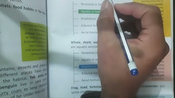 Ch-9 adaptations in animals Science class 4