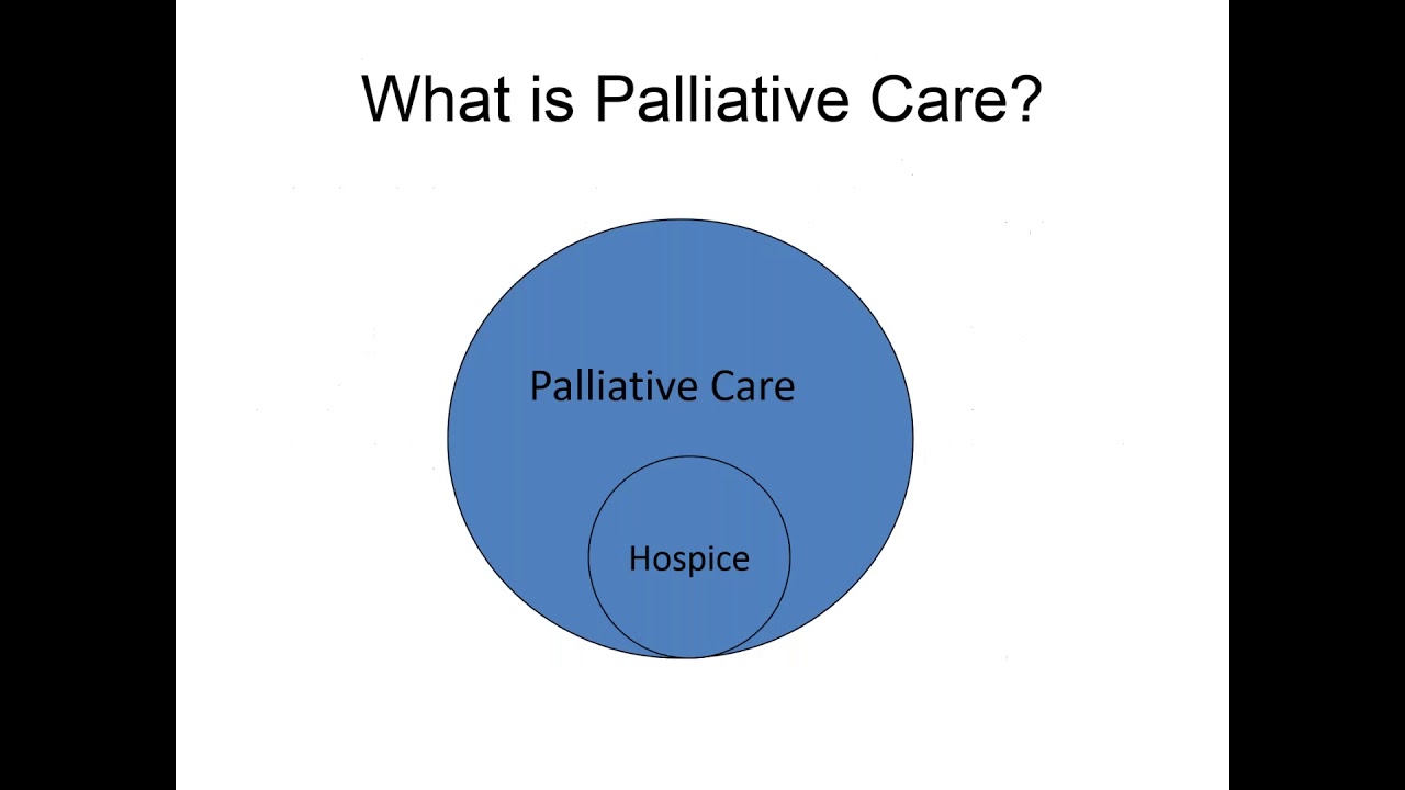 Less Pain, More Gain: Palliative Care for Ovarian Cancer