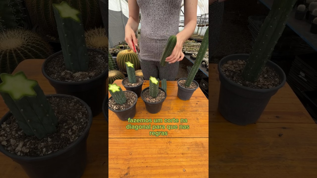 Porque podar na diagonal?