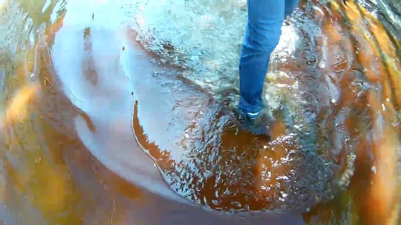 It's spring, I'm walking through dirty puddles.2024