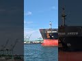 進港就是要滑手機啊，不然要幹嘛 (誤)🚢穿裙裙拍船船
