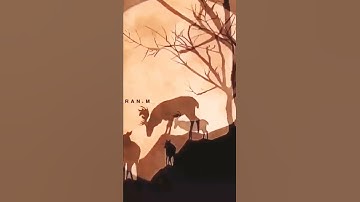 آيات بينات من الذكر الحكيم 🌼🌹
