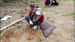 Jabatan Perhutanan Negeri Pahang di Bentong, Pahang