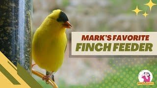 What is The Best Finch Feeder for my yard?