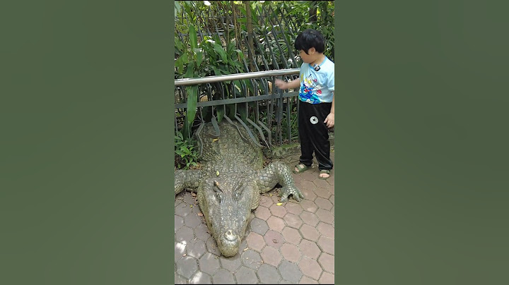 จระเข้ยักษ์ เหมือนมาก นึกว่าของจริงแหกกรงออกมา #animals #zoo #zooland #สวนสัตว์ #ซาฟารีเวิลด์