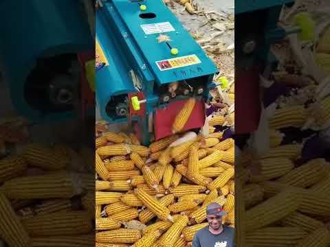 New Update In Town Funny Viralvideo 13thdayofjuly 13june Comedy Bestcomedyskit