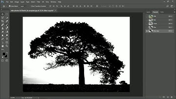 How to cut out tree in Photoshop