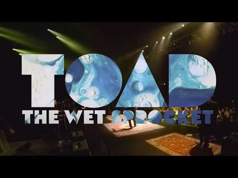 Toad the Wet Sprocket - YouTube