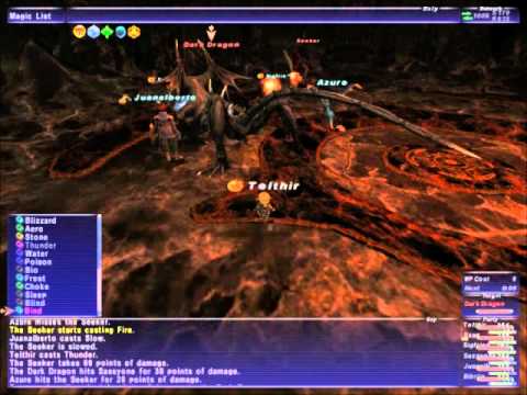 FFXI: Dark Dragon Fight