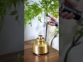 China Chaoshan Gongfu Tea