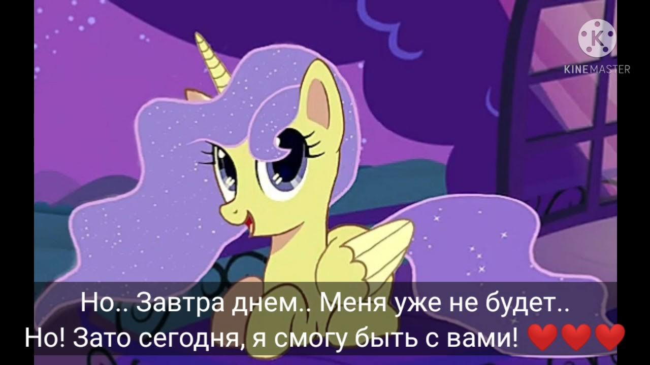 Пони мем. Песня завтра меня не будет. До завтра маликов прощальных слов. Песня завтра меня не будет. Текст песни пока мы молоды пока.