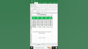 Track Travel Expenses in Excel