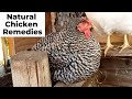 Is My Chicken Sick? How to Treat Chickens Naturally