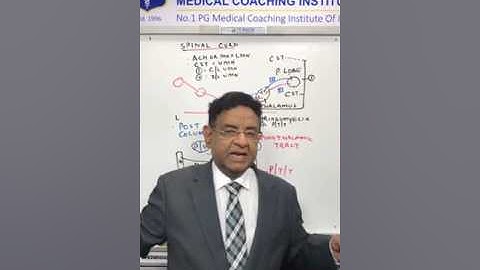 Discussing in Spinal Cord Neuroanatomy & its Syndrome