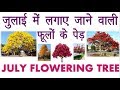 Flowery Trees that Grow In July II जुलाई में लगाए जाने वाले वाले फूलों के पेड़ ||