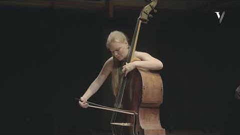 Haydn - Divertimento: Played by Phoebe Russell, Double Bass. (Mov. 2)