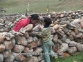 9 drokpa  grazing on the border the yak herders of north sikkim 2017