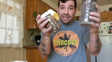 Home Composting in the Desert - Selecting Seed for Cover Crops