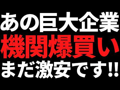 あの超巨大国内株をブラックロックが爆買い！どう考えてもまだ激安