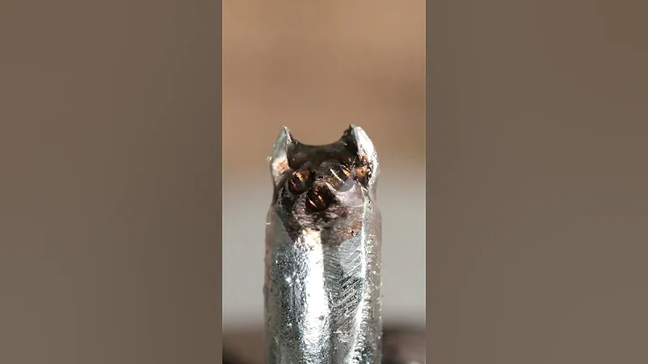 Useful Life Hack with a piece of bicycle Tube and a Bottle!  #shorts #diy#simplelifehacks