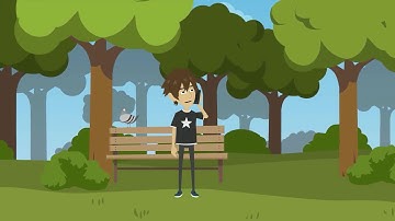 Apprenticeship Changes - what does it really mean?