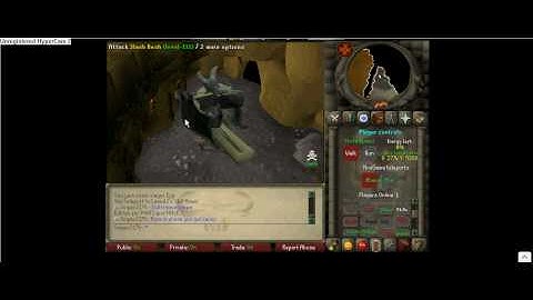 BEST runescape private server with webclient
