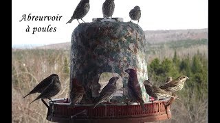 Année 2011, mangeoires et accessoires pour oiseaux