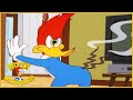 Woody Woodpecker | Downsized Woody | Woody Woodpecker Full Episode | Kids Cartoon | Videos for Kids