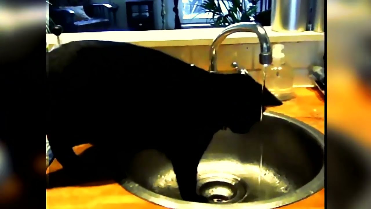 Robert Curiel - Sweet water (2022 Remaster)