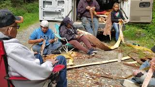 Whats Cedar Bark Harvesting?