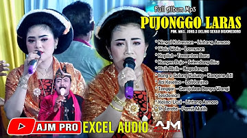 PUJONGGO LARAS MP3 LINTANG ASMORO - LAMUNAN - SLENDANG BIRU