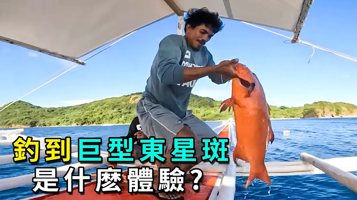 小孩釣出一條10斤的頂級東星斑，過程中還差點被魚釣了，刺激！