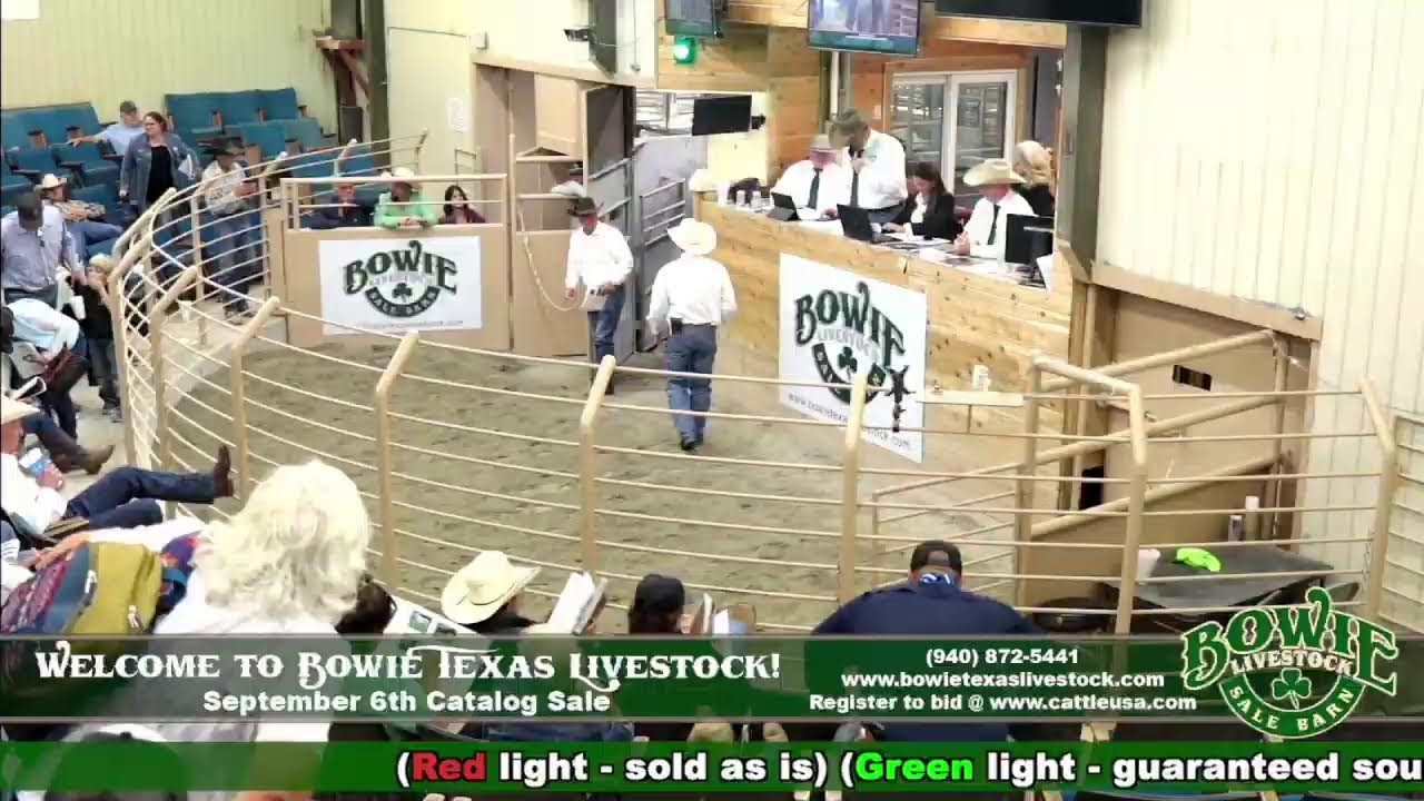 Bowie Texas Livestock September 6th Catalog Sale!