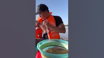 Soạn đồ dẫn vợ đi câu cá Sông Sài Gòn 6, cách trộn mồi câu sông #shorts #duyfishing #caucasong