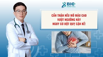 Cẩn thận nếu mỡ máu cao vượt ngưỡng này – nguy cơ đột quỵ cận kề | BIC NANO CELL - BS KẾT